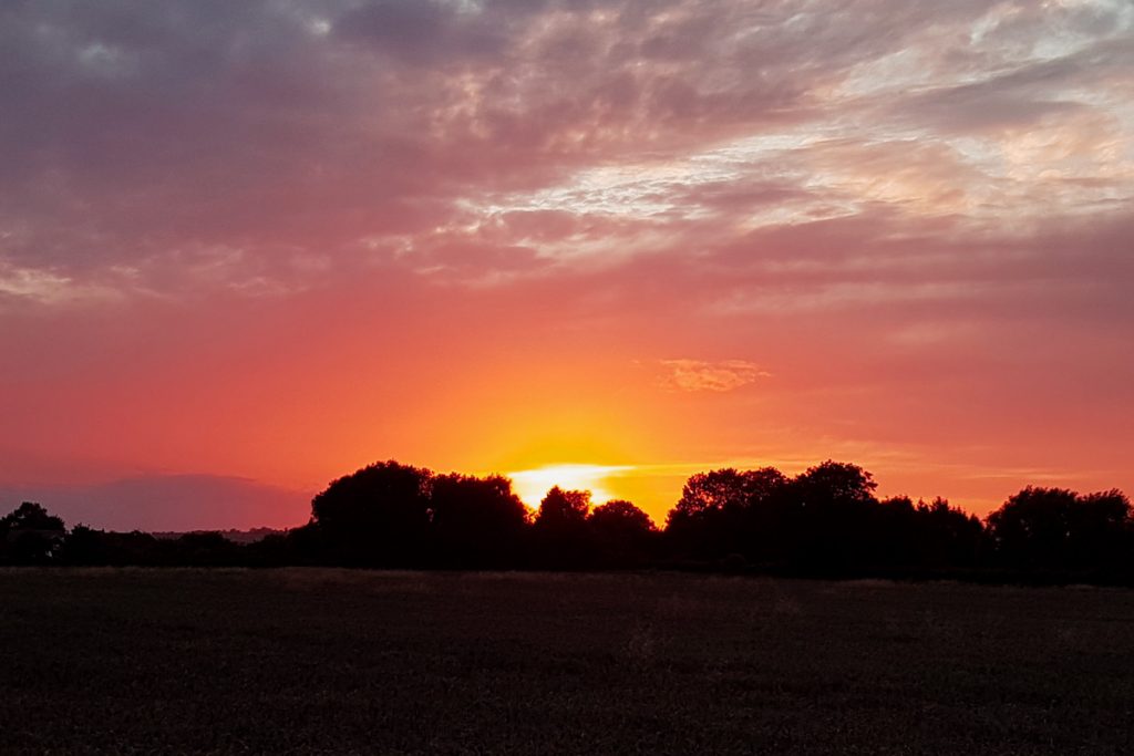 View from Frogfurlong Cottage Bed and Breakfast Down Hatherley Gloucester